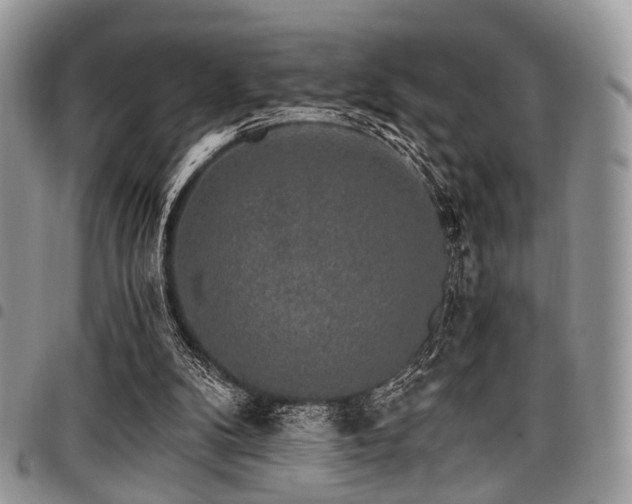 X0000098010104200803281321