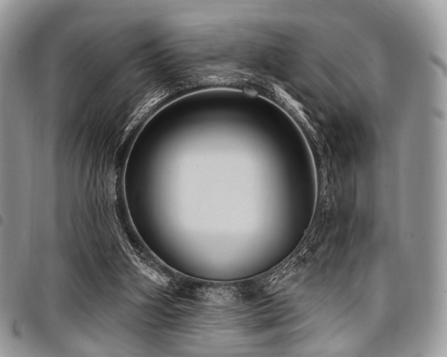 X0000098010106200803281321