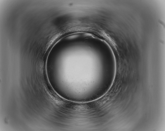 X0000098010107200803281321