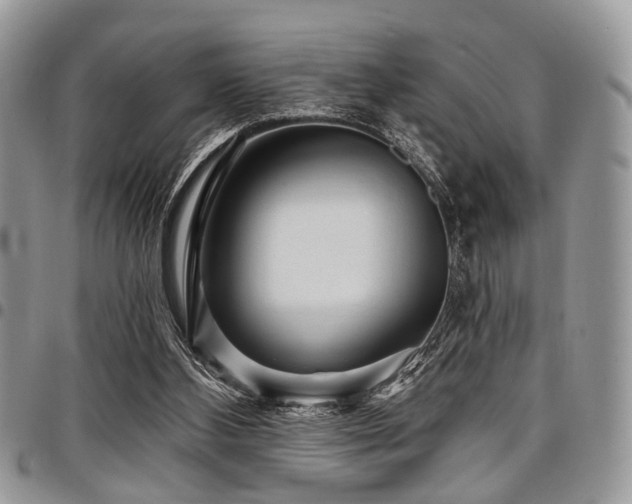 X0000098010108200803281321