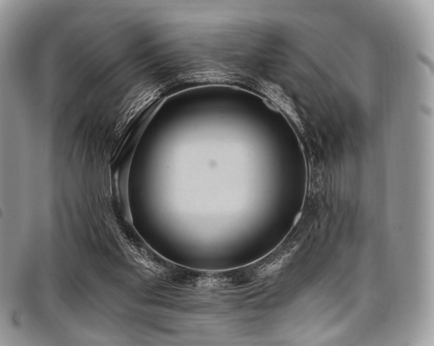 X0000098010109200803281321