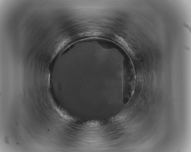 X0000098010110200803281321