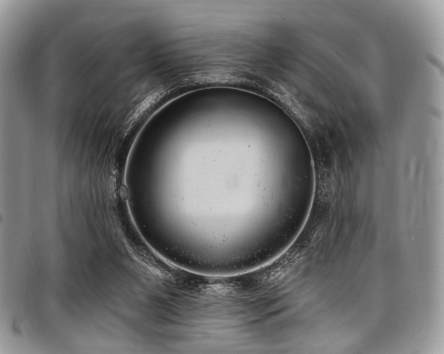 X0000098010111200803281321