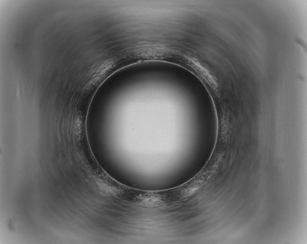 X0000098010113200803281321