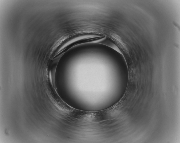 X0000098010116200803281321