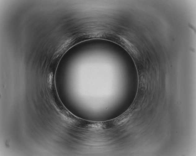 X0000098010118200803281321