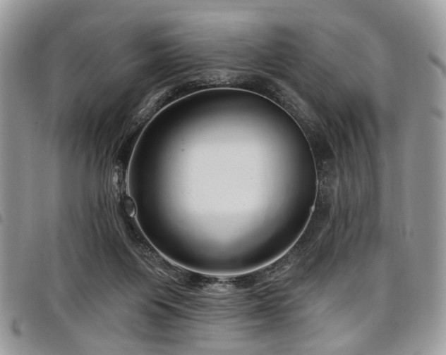 X0000098010119200803281321