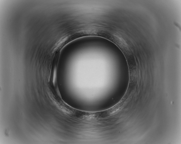 X0000098010120200803281321