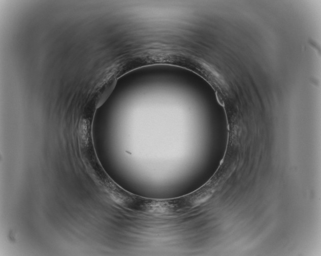 X0000098010121200803281321