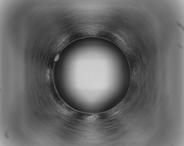 X0000098010122200803281321