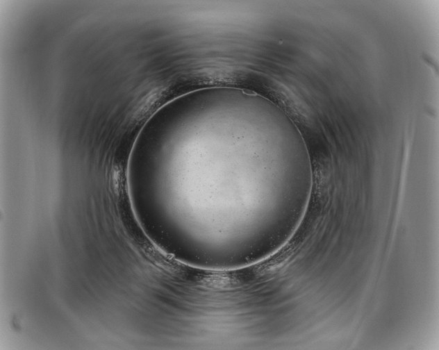 X0000098010123200803281321