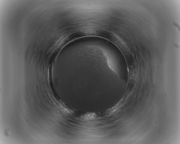 X0000098010124200803281321
