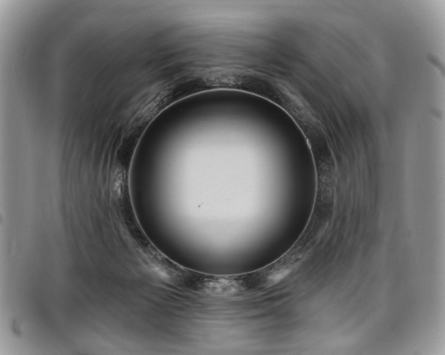 X0000098010125200803281321