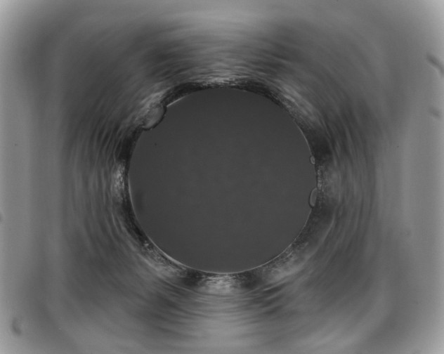 X0000098010127200803281321