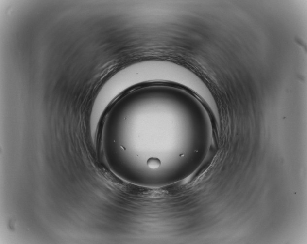 X0000098010128200803281321