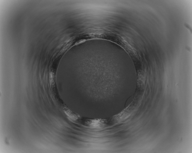 X0000098010130200803281320
