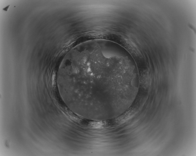X0000098010131200803281320