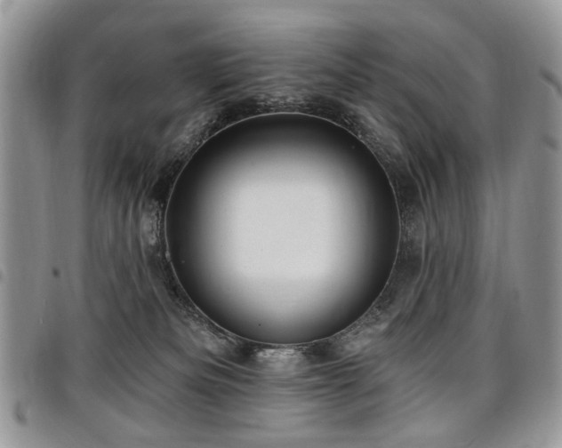 X0000098010133200803281320