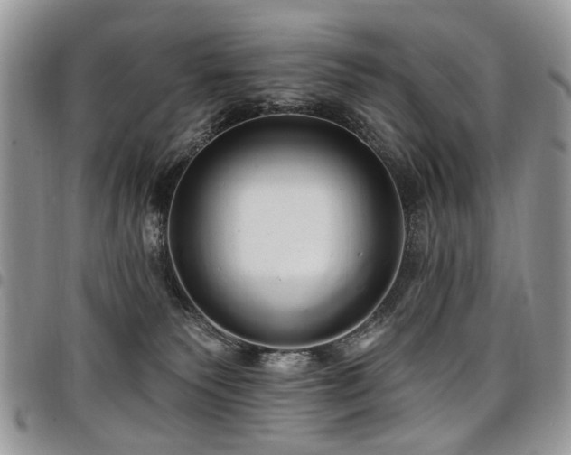 X0000098010135200803281320