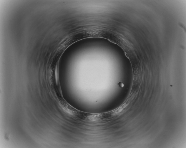 X0000098010136200803281320