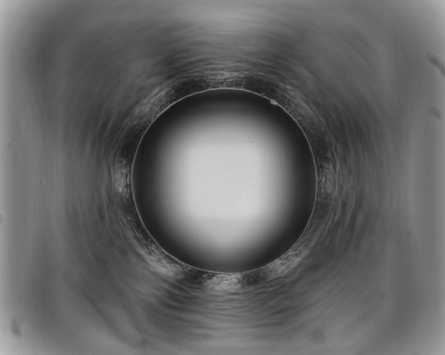 X0000098010138200803281320