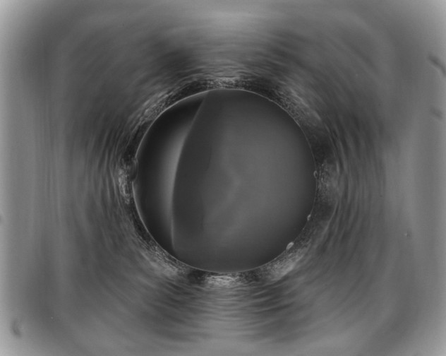 X0000098010139200803281320