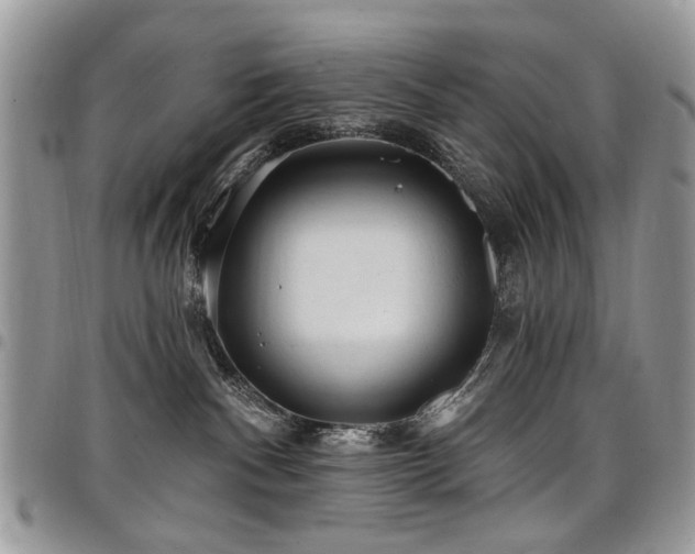 X0000098010140200803281320
