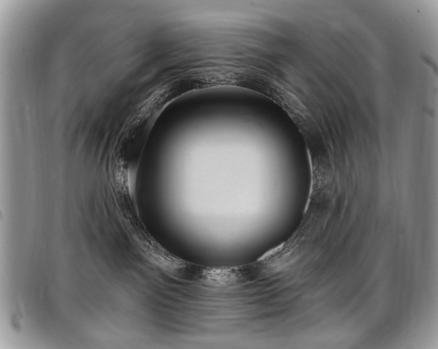 X0000098010141200803281320