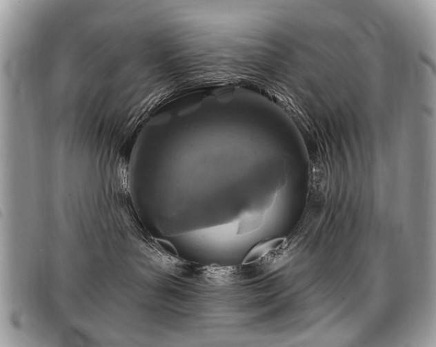X0000098010143200803281320