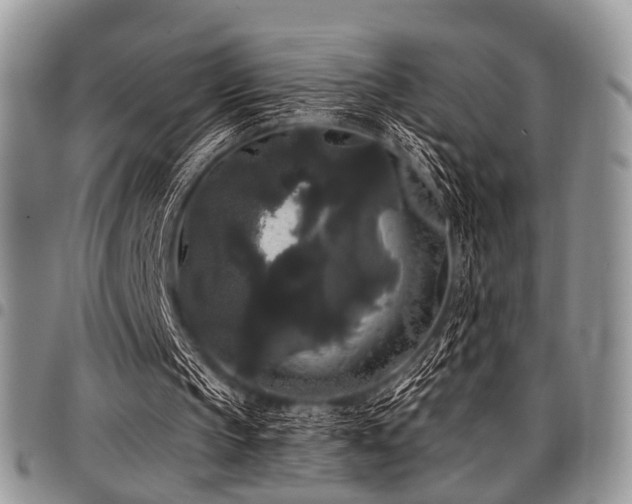 X0000098010145200803281319