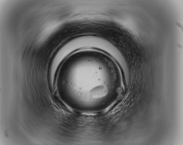X0000098010146200803281319