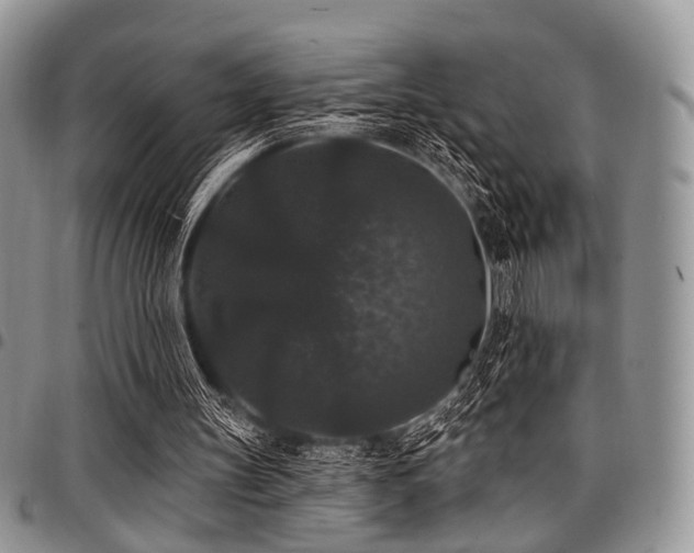 X0000098010147200803281319