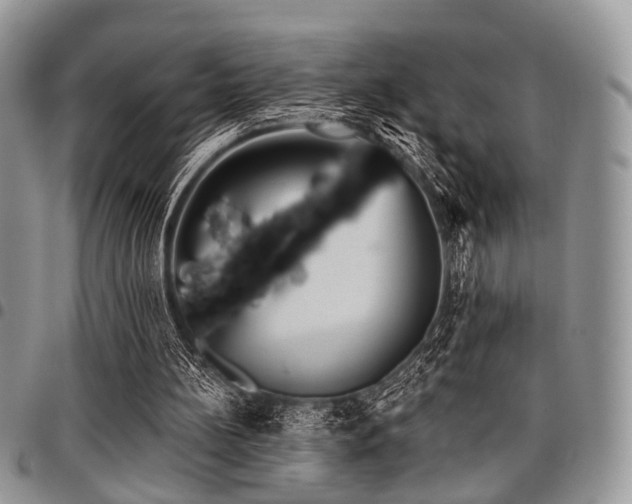 X0000098010148200803281320