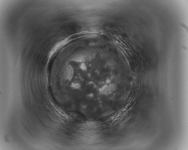 X0000098010149200803281320