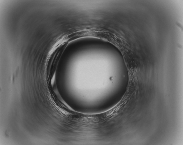 X0000098010150200803281320