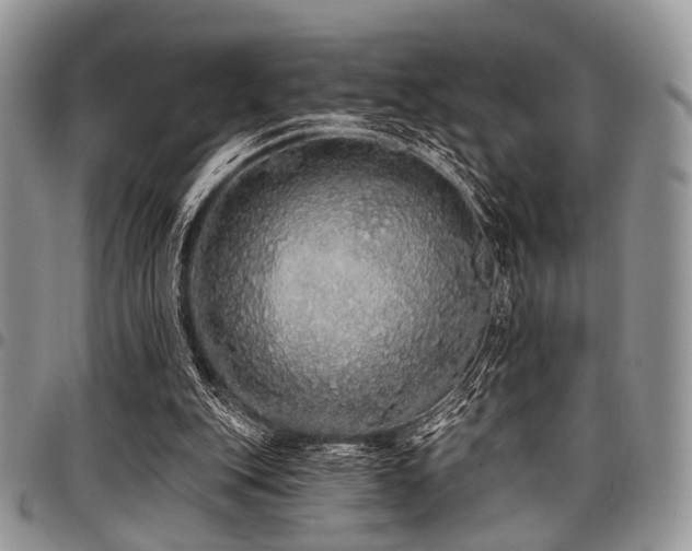 X0000098010151200803281320