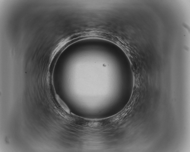 X0000098010152200803281320
