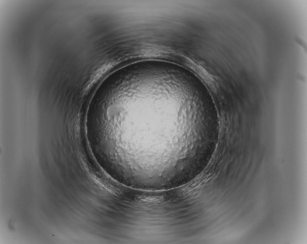 X0000098010155200803281320