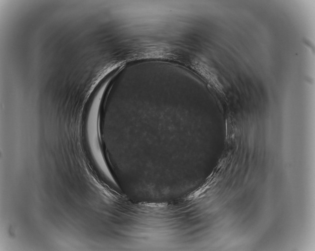X0000098010156200803281320