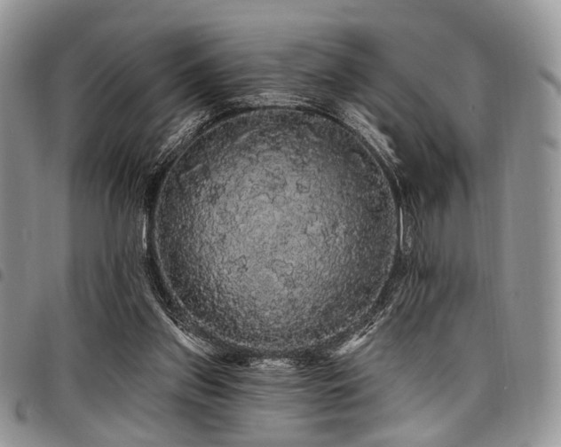 X0000098010157200803281320