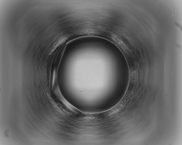 X0000098010158200803281320