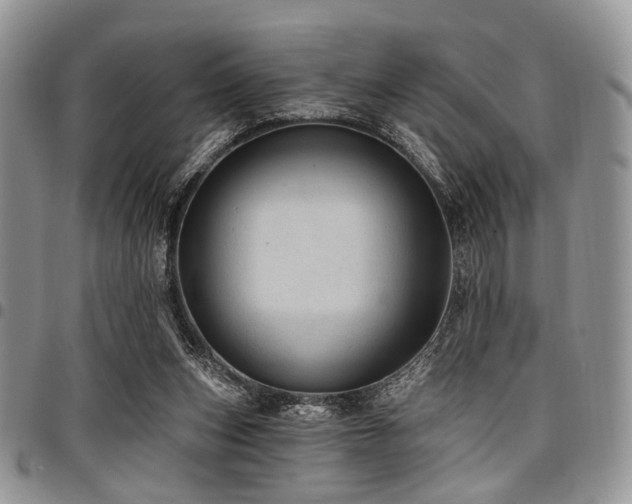 X0000098010159200803281320
