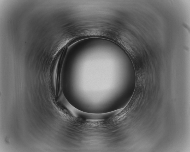 X0000098010160200803281320