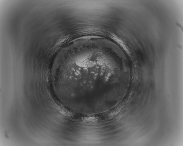 X0000098010161200803281320