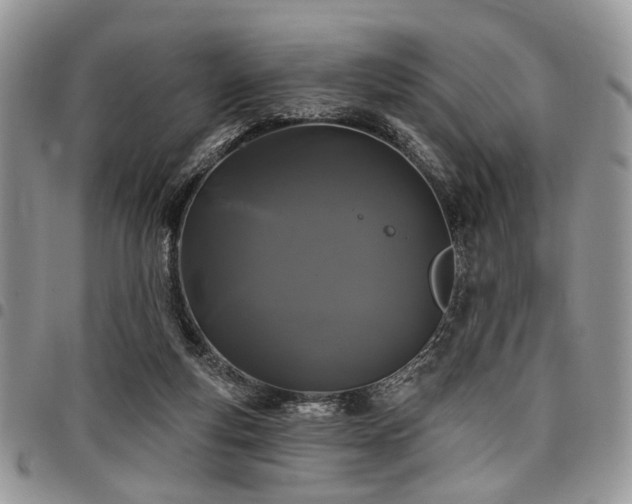 X0000098010163200803281320