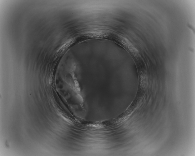 X0000098010165200803281320