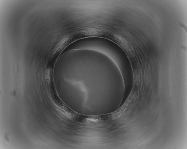 X0000098010167200803281320