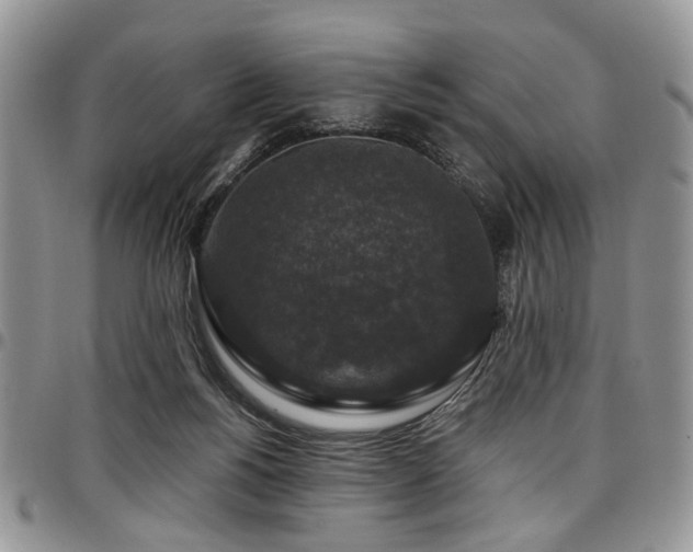 X0000098010168200803281320