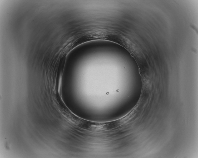 X0000098010170200803281320