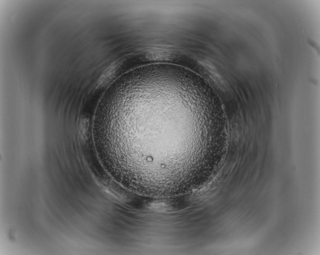 X0000098010171200803281320